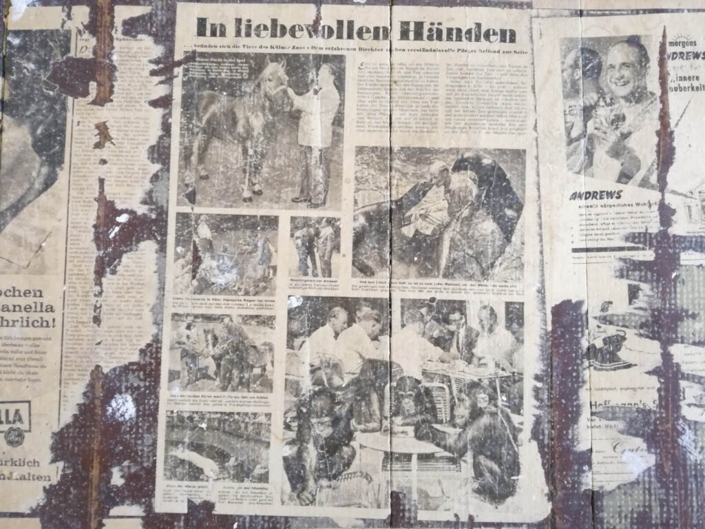 Zeitung als Dämmung Zeitung als Dämmung