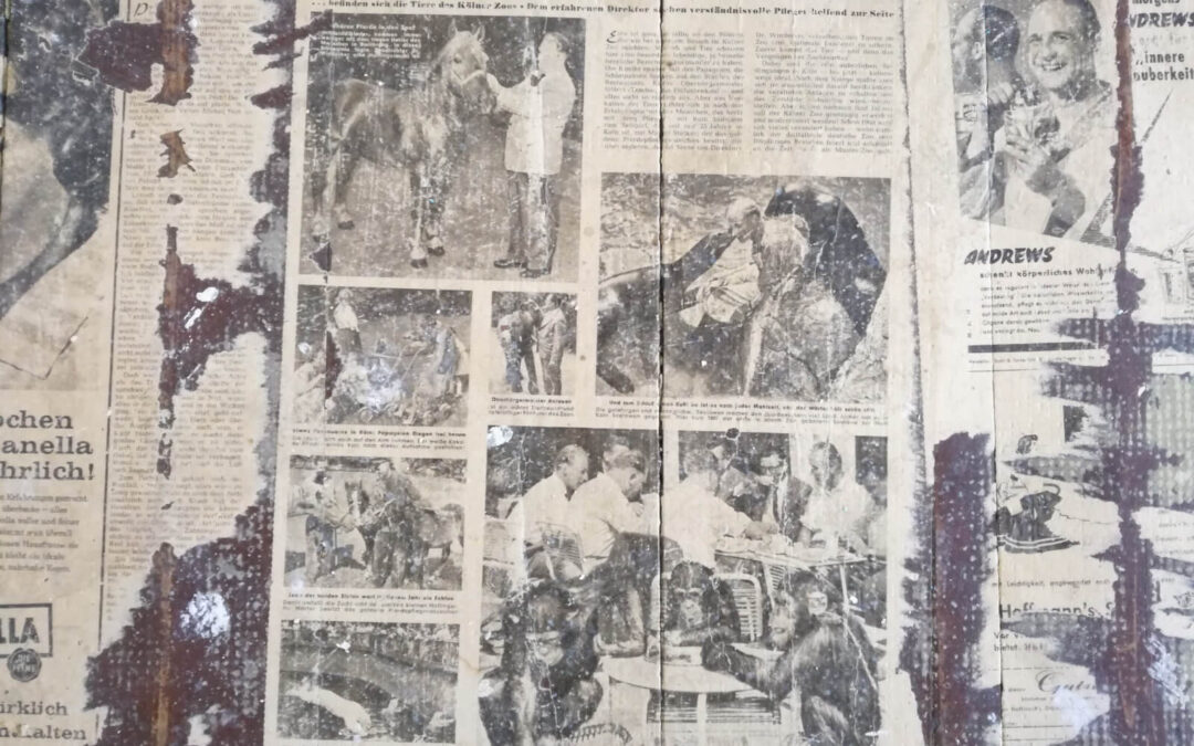 Zeitung als Dämmung